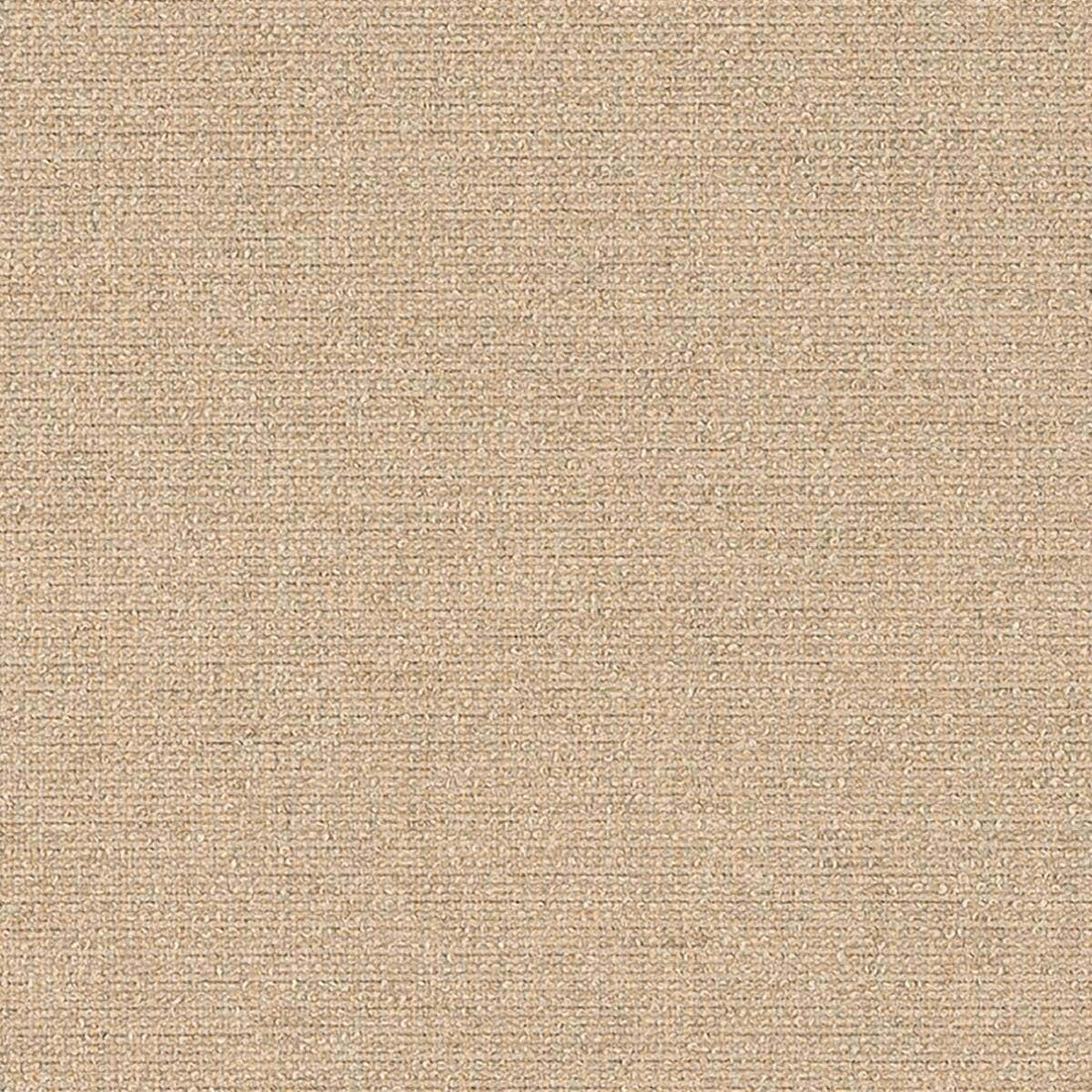 Sunbrella Nuance Sand fabric swatch
