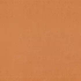 Warwick - Lustrell Charisma Camel