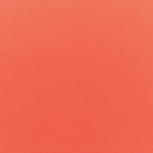 Canvas-Melon_5415-0000