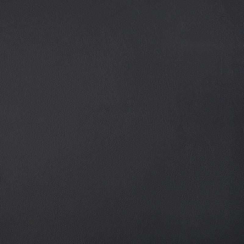 Sunbrella Horizon Capriccio Black Cushion