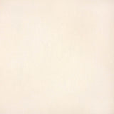 Sunbrella Horizon Capriccio Ivory Cushion