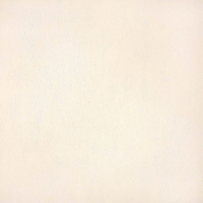 Sunbrella Horizon - Capriccio Ivory Cushion