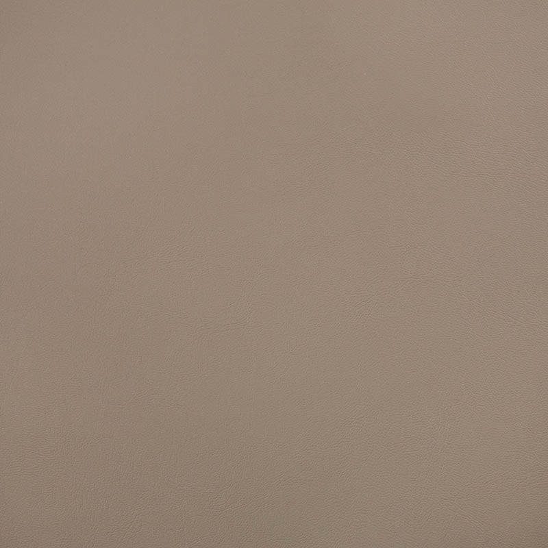 Sunbrella Horizon - Capriccio Taupe Cushion