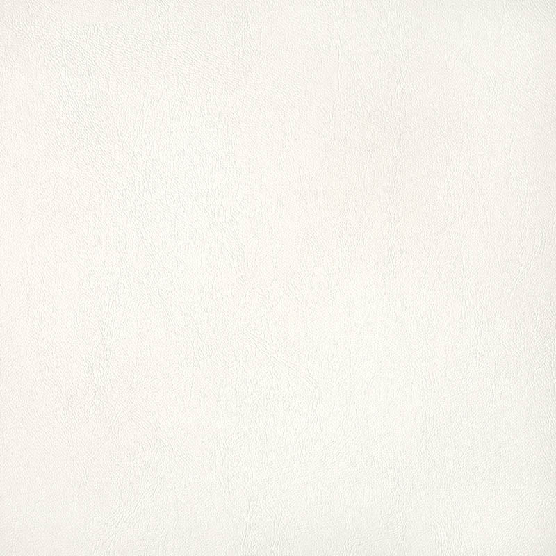 Sunbrella Horizon Capriccio White Cushion