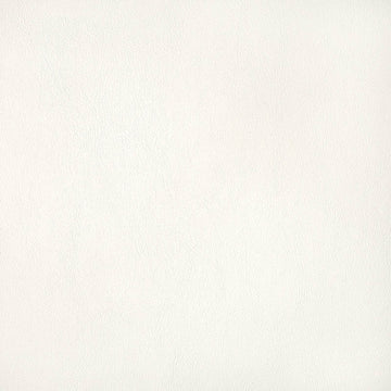 Sunbrella Horizon - Capriccio White Cushion