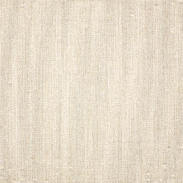 Cast-Pumice_48114-0000