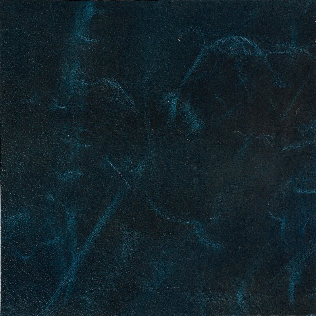 Blue Genuine Leather cushion