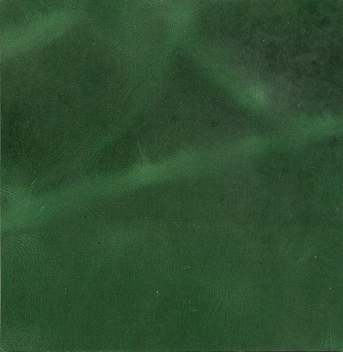 Green Genuine Leather cushion
