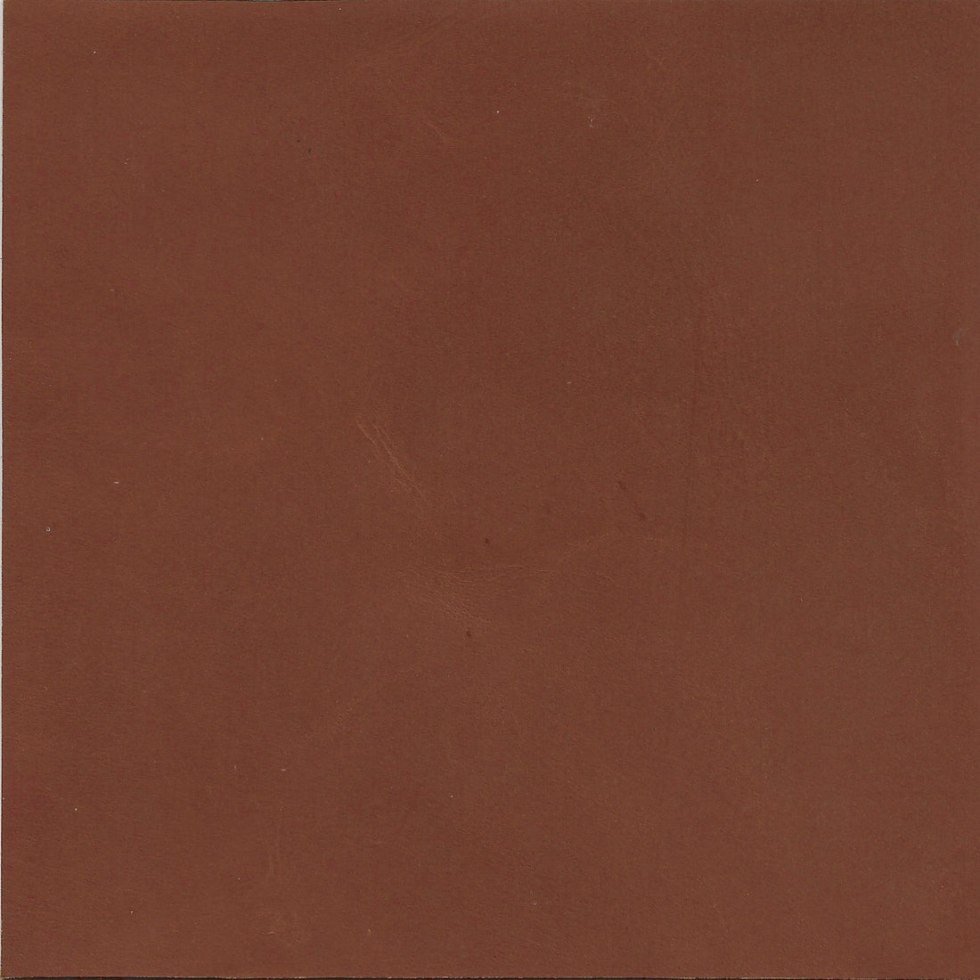 Tan Genuine Leather cushion