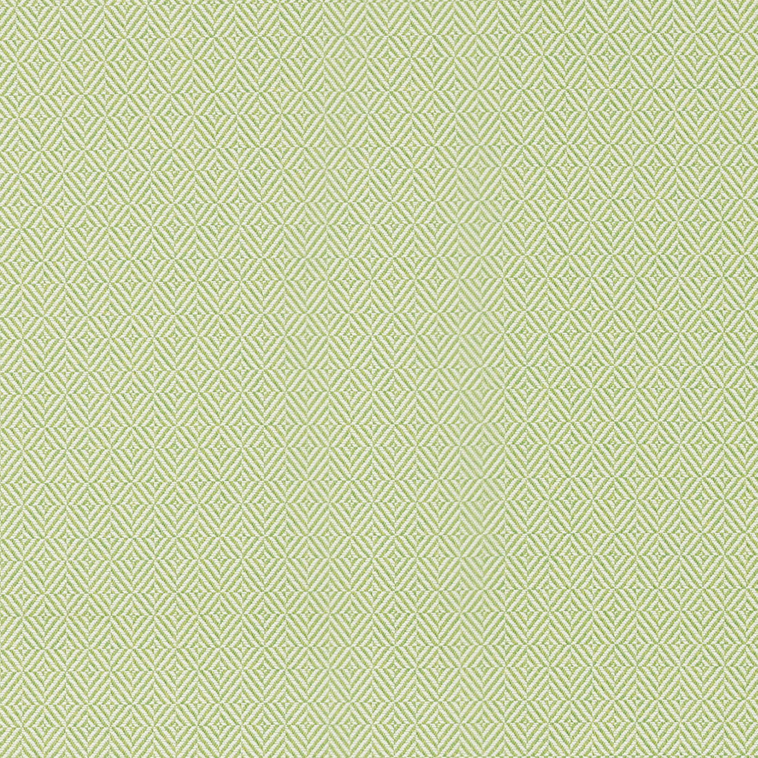 Warwick Aldinga Lime outdoor curtain fabric swatch