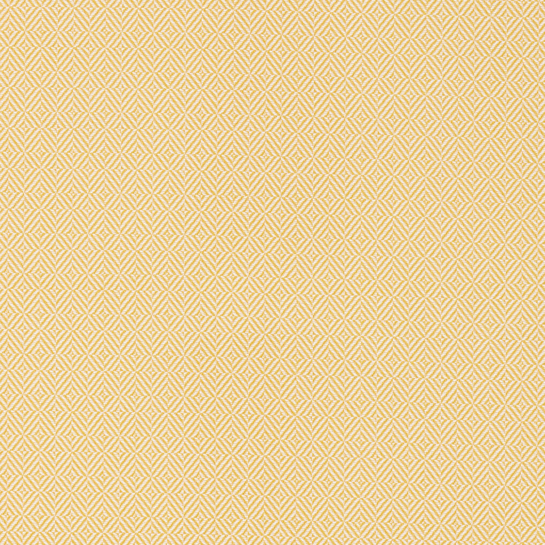 Warwick Aldinga Sunshine outdoor curtain fabric swatch