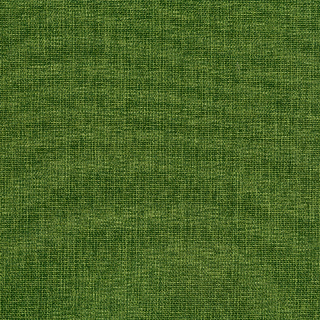 Warwick Beachcomber Fern upholstery fabric cushion
