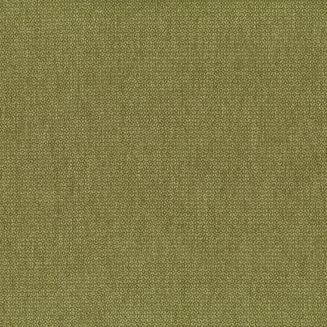 Warwick Bodhi Cactus upholstery fabric cushion