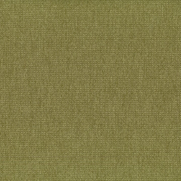 Warwick Bodhi Cactus upholstery fabric cushion