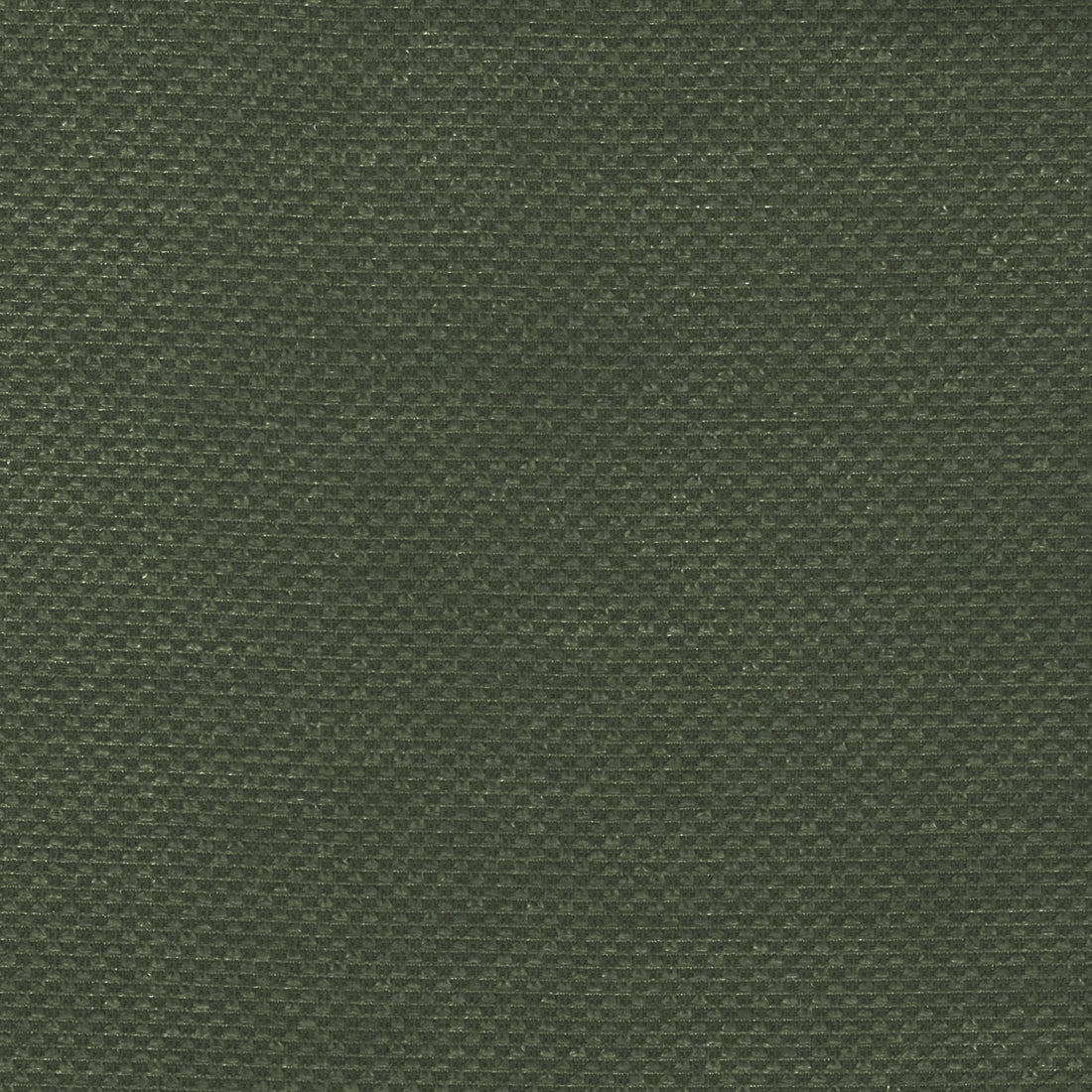 Warwick Bingle Sprout upholstery fabric cushion