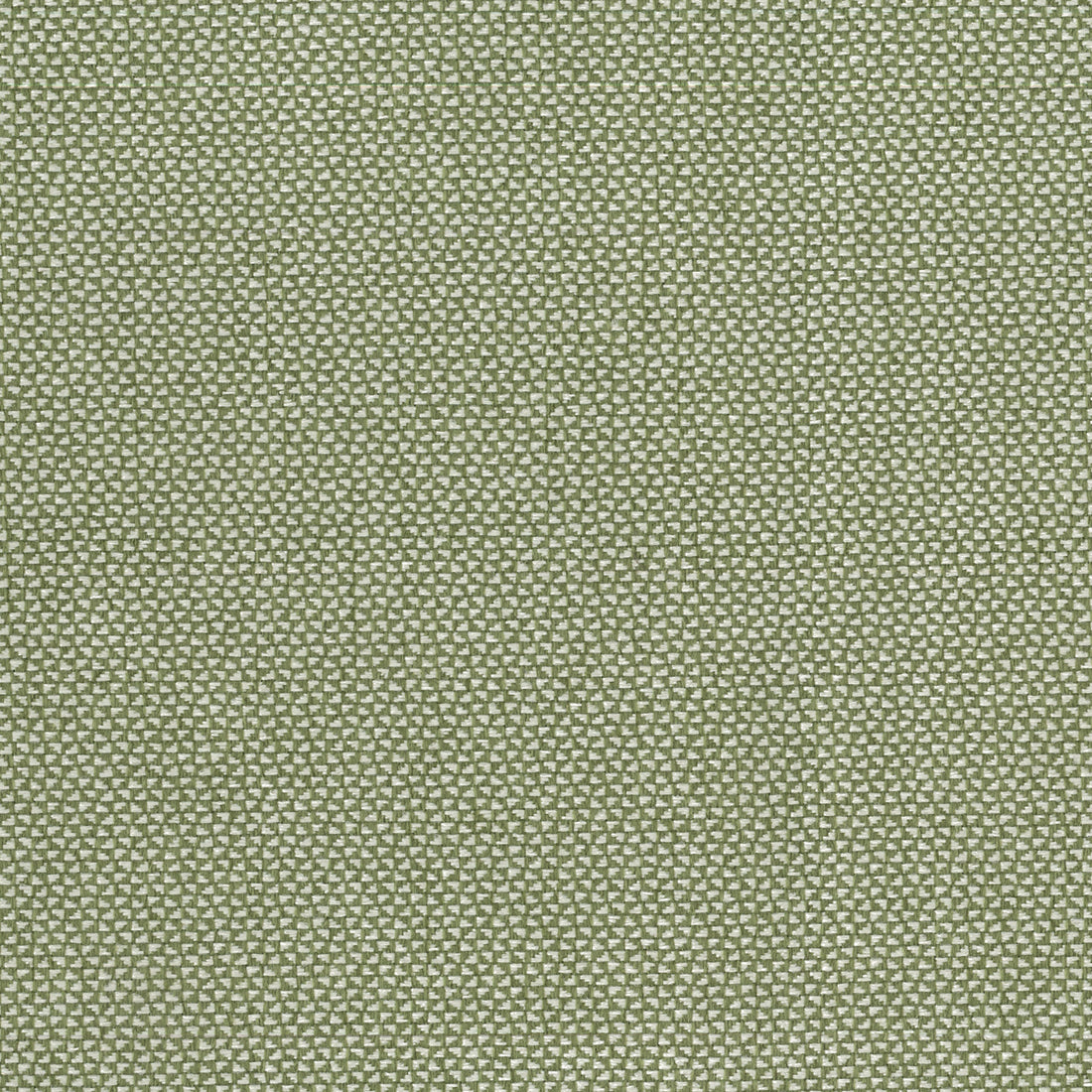 Warwick Brooklyn Olive upholstery fabric cushion