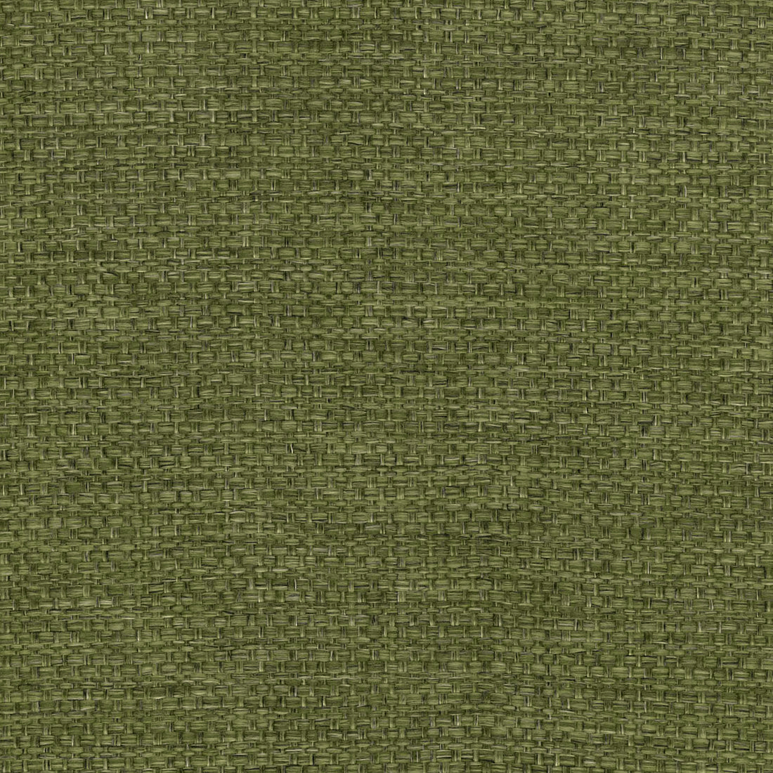 Warwick Camber Moss upholstery fabric cushion
