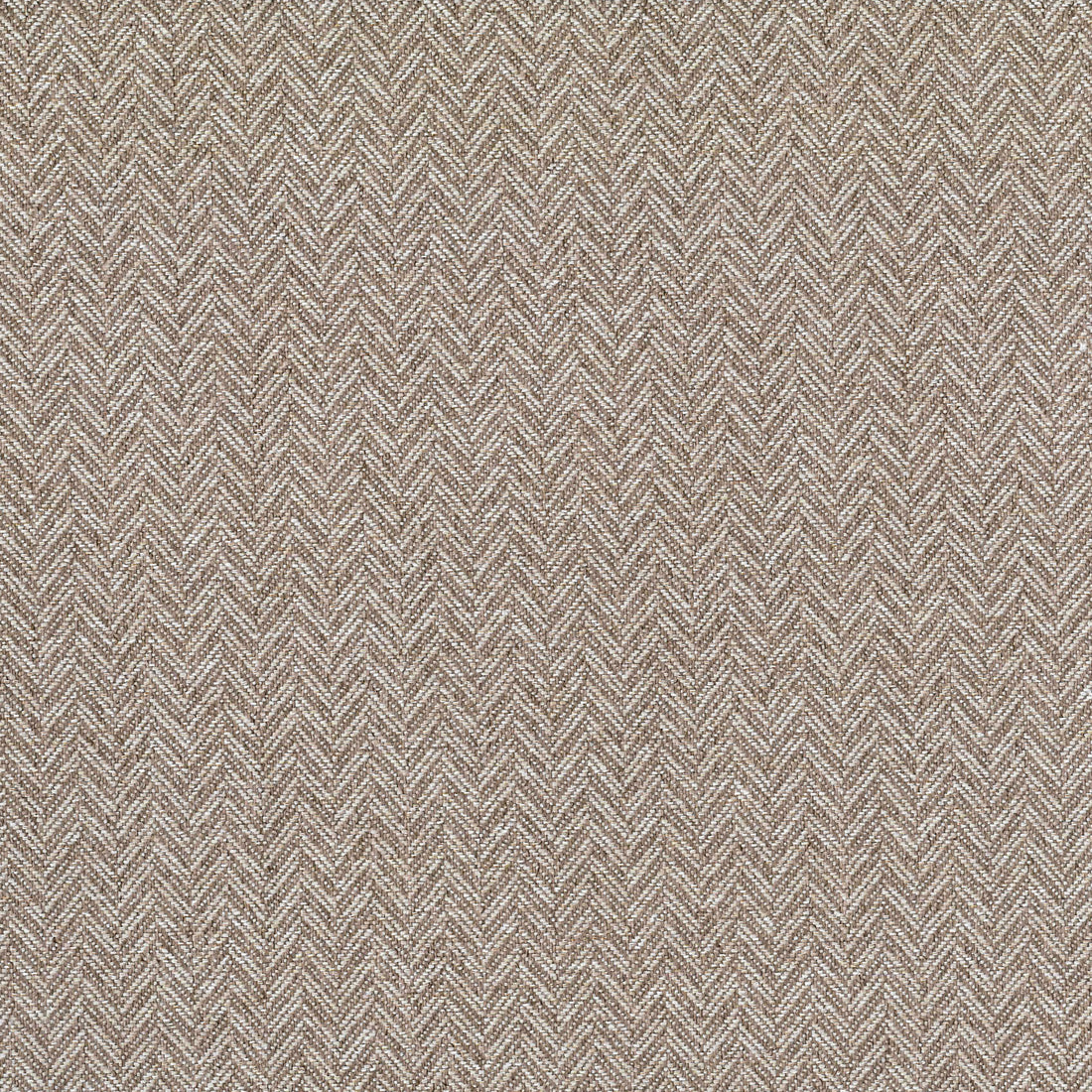 Warwick Coney Biscuit upholstery fabric cushion
