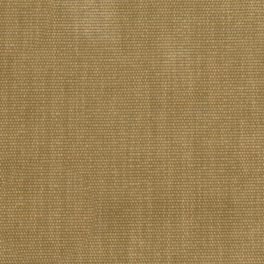 Warwick Copeland Honey Custom Indoor Cushion