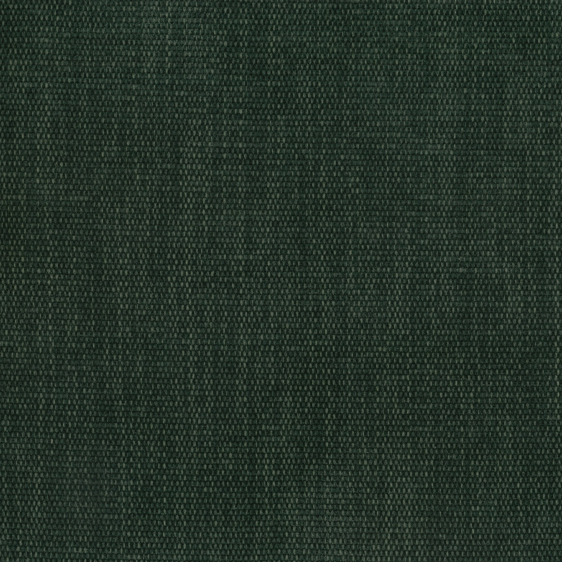 Warwick Copeland Hunter upholstery fabric cushion