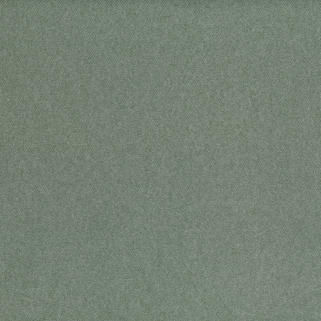 Warwick Elton Agave upholstery fabric cushion