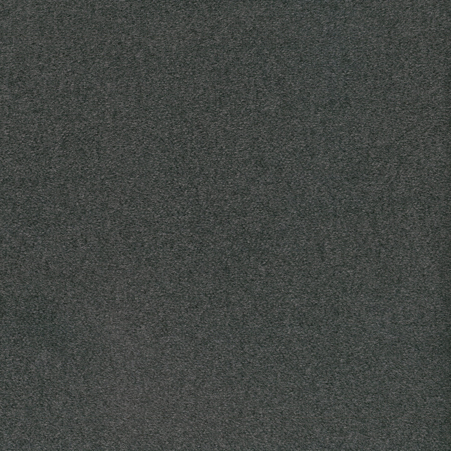 Warwick Elton Carbon Cushion