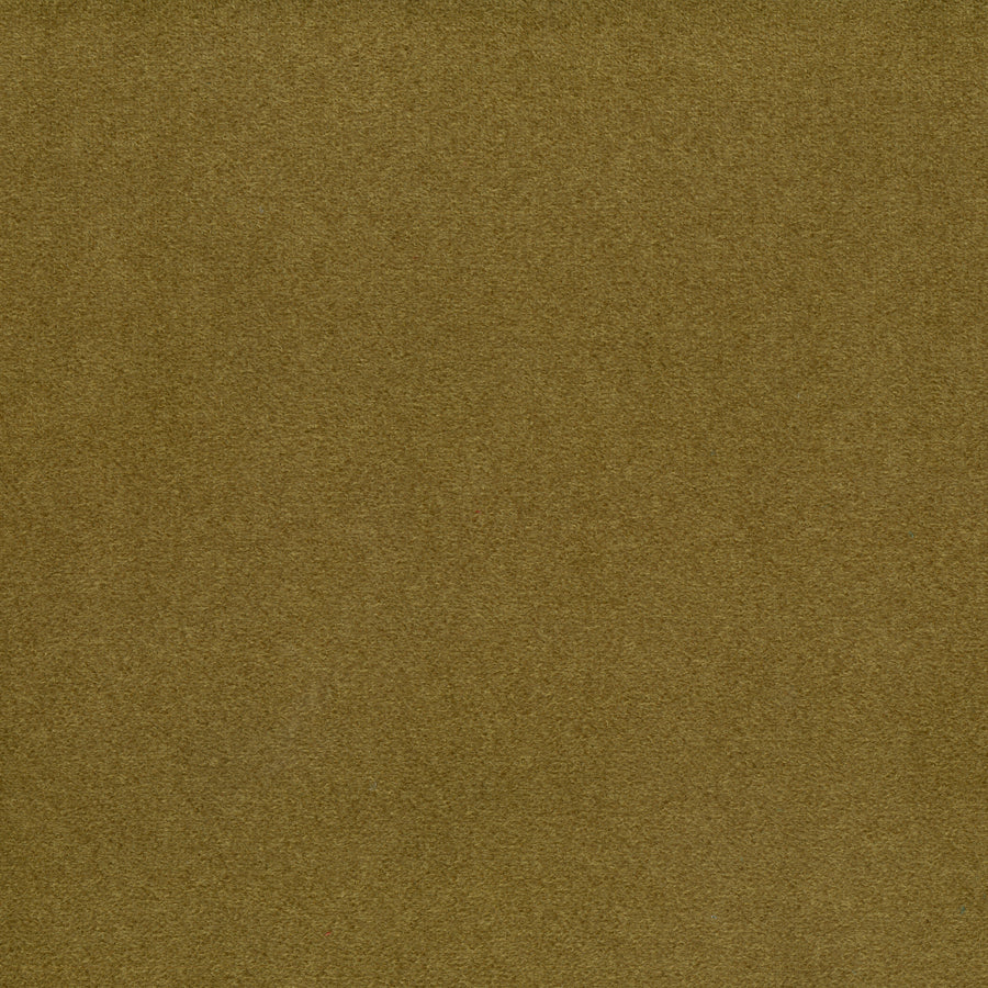 Warwick Elton Moss Cushion