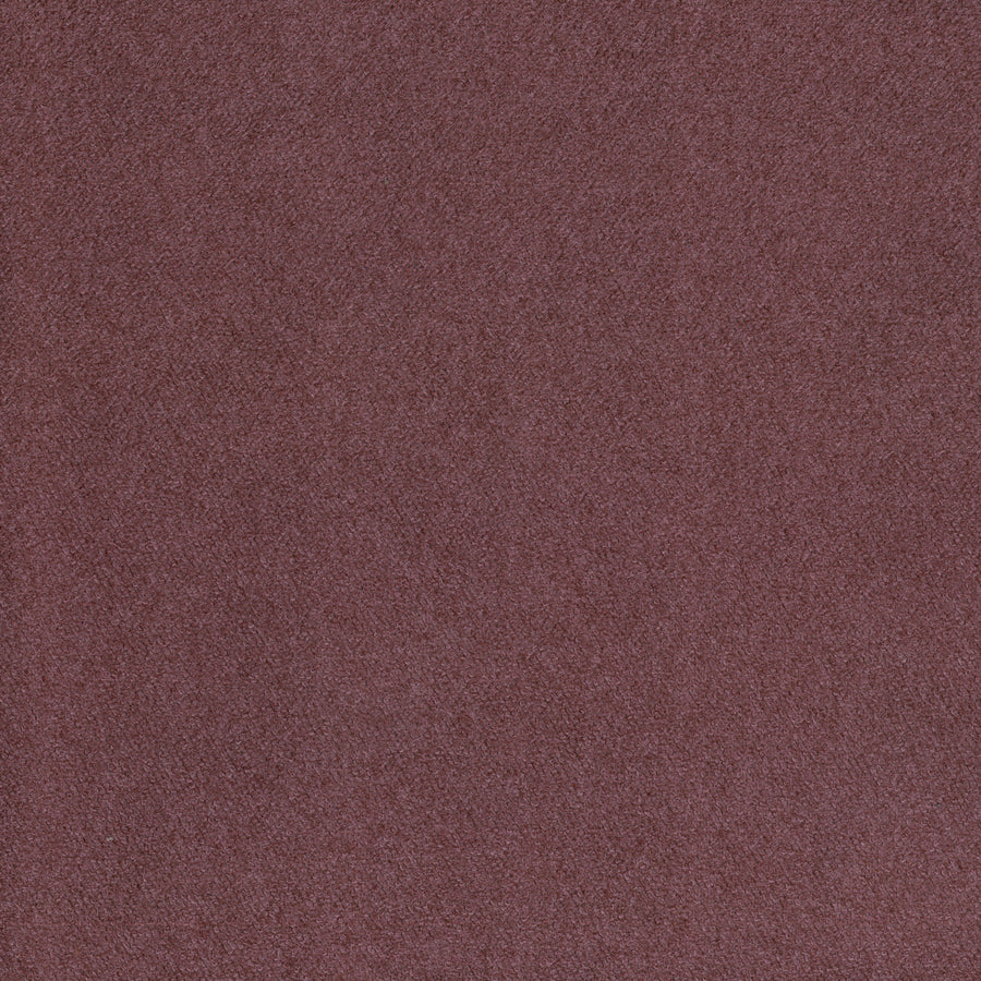 Warwick Elton Regal Cushion