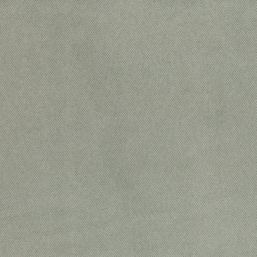 Warwick Elton Silver Cushion