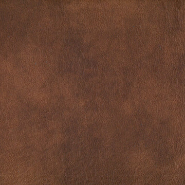 Warwick - Eastwood Bison