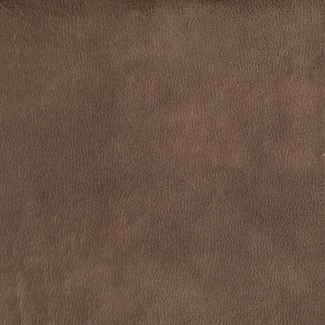 Warwick Eastwood Donkey upholstery fabric cushion