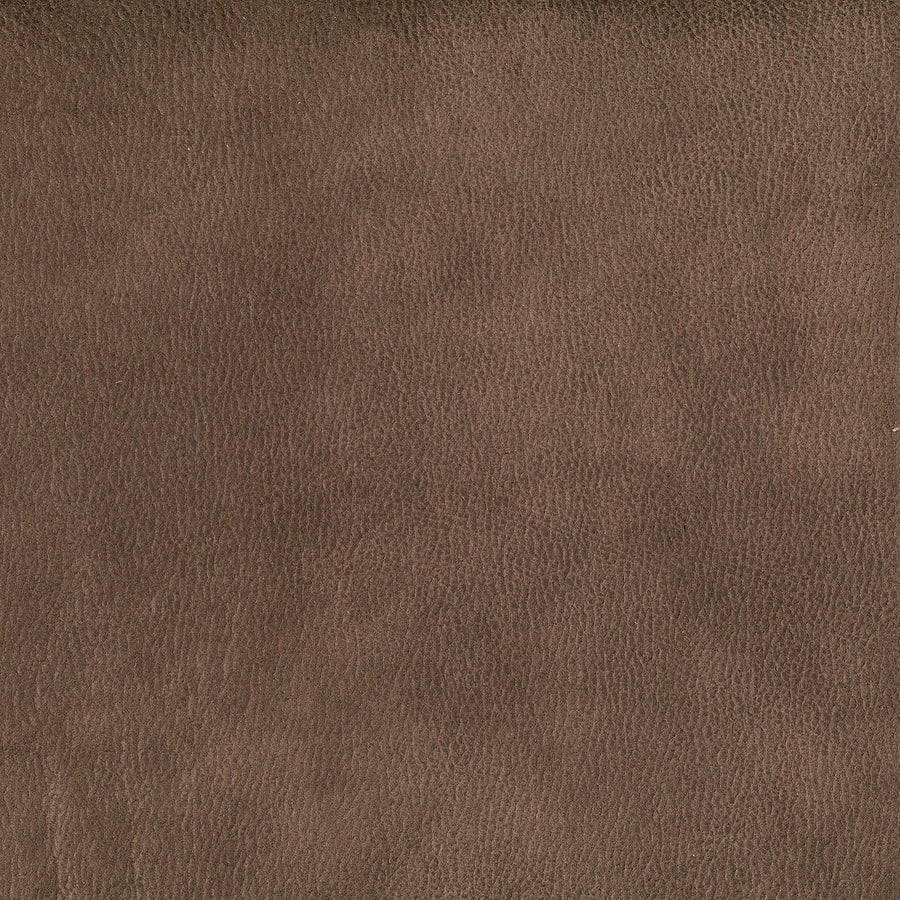 Warwick Eastwood Donkey Custom Indoor Cushion