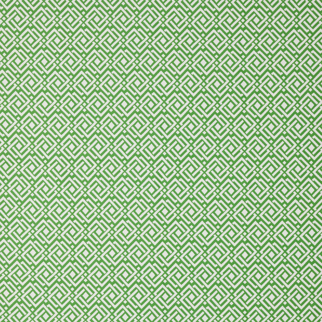 Warwick Joss Monstera outdoor curtain fabric swatch