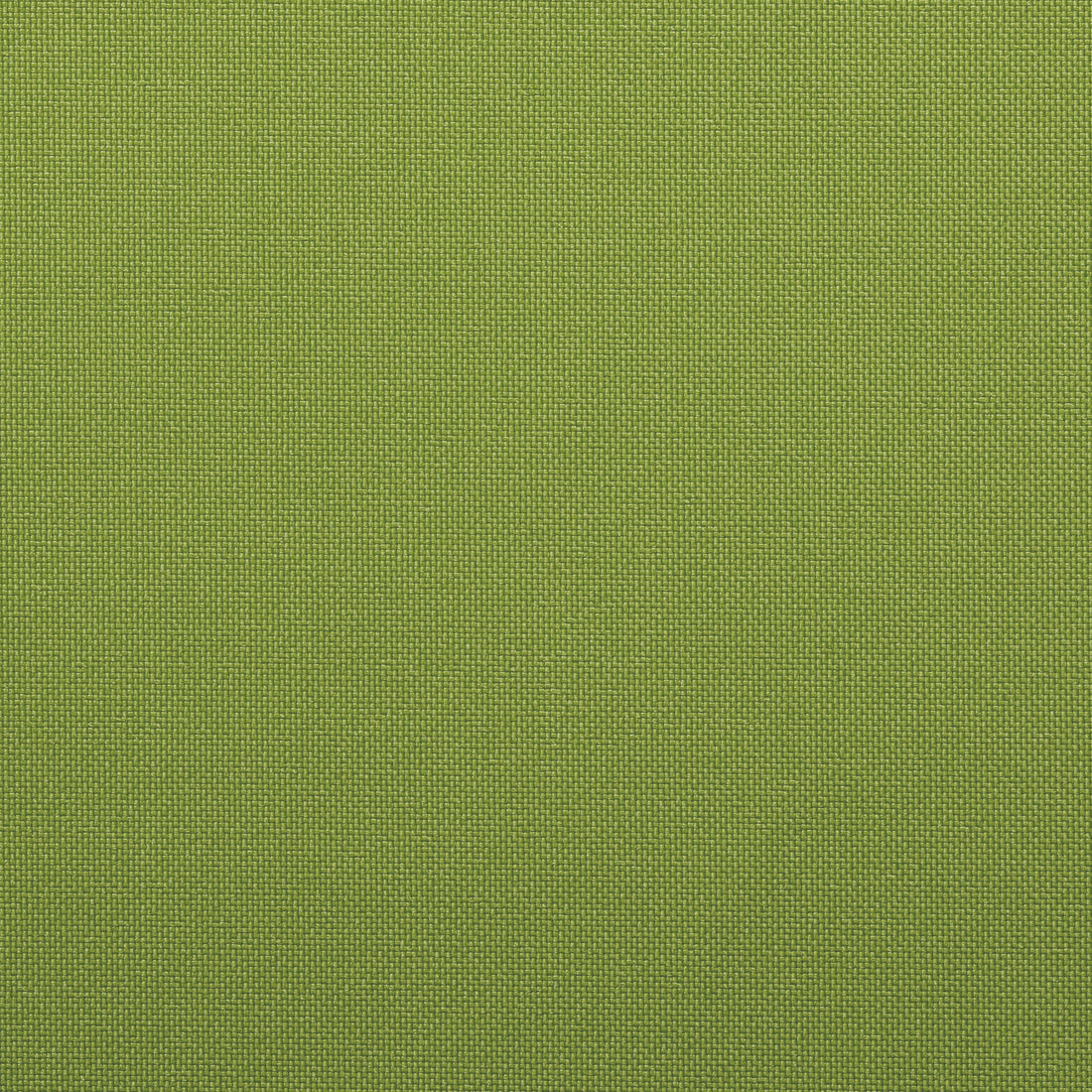 Warwick Kona Lime outdoor curtain fabric swatch