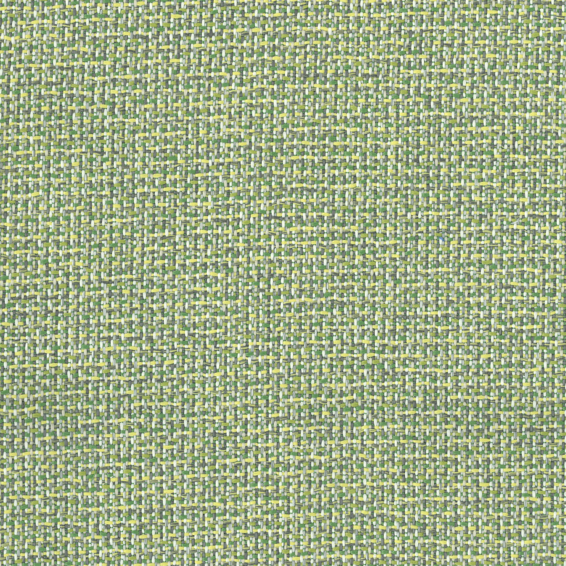 Warwick Kuata Palm outdoor curtain fabric swatch