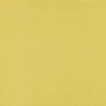 Warwick - Lustrell Charisma Acacia