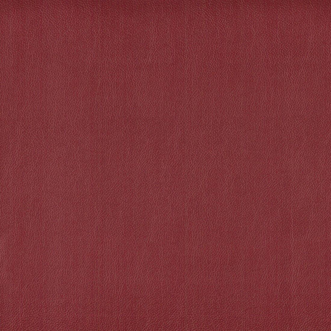 Warwick Lustrell Charisma Cabernet faux leather cushion