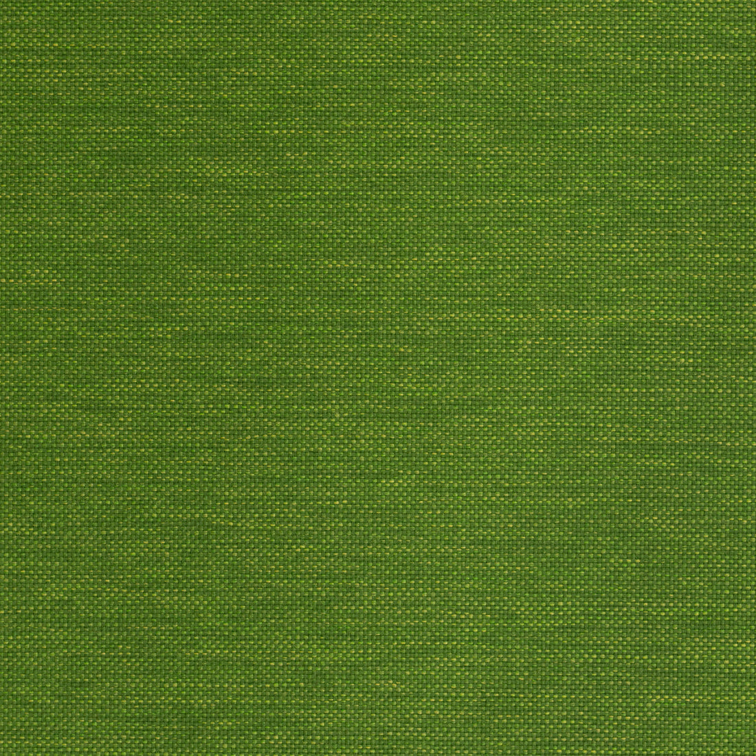 Warwick Lomani Lime outdoor curtain fabric swatch