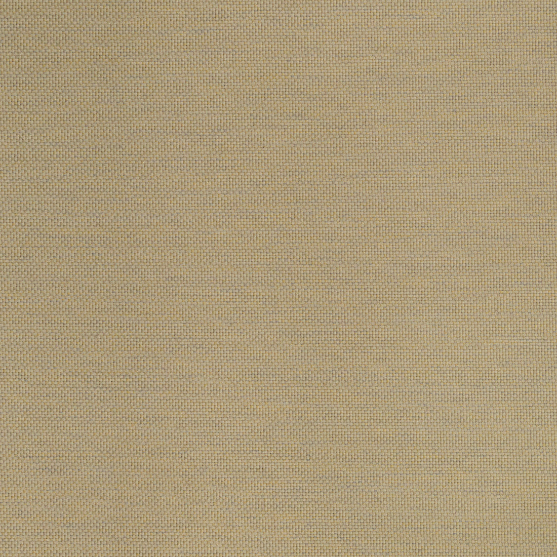 Warwick Lomani Sand outdoor curtain fabric swatch