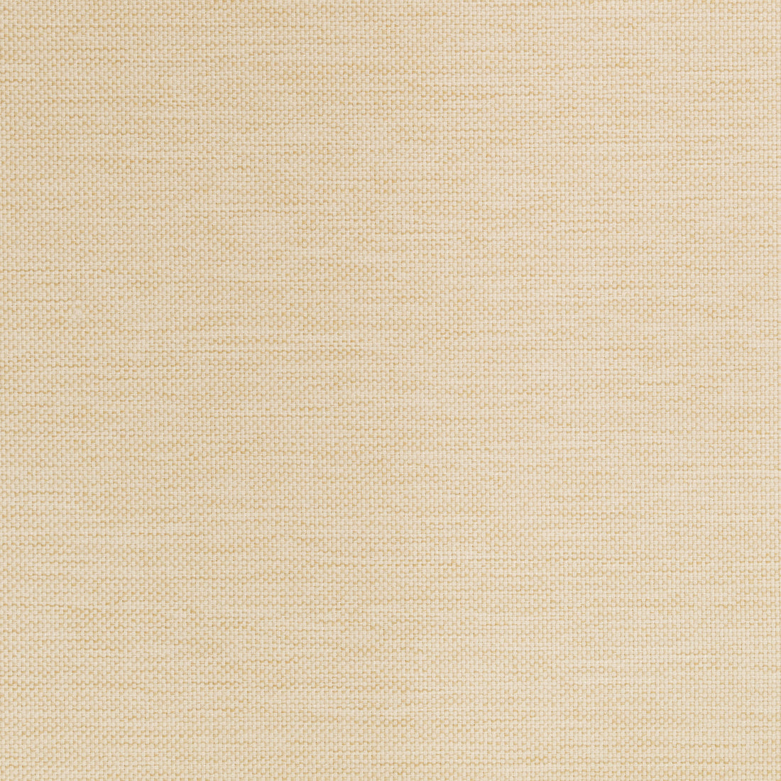 Warwick Lomani Shell outdoor curtain fabric swatch