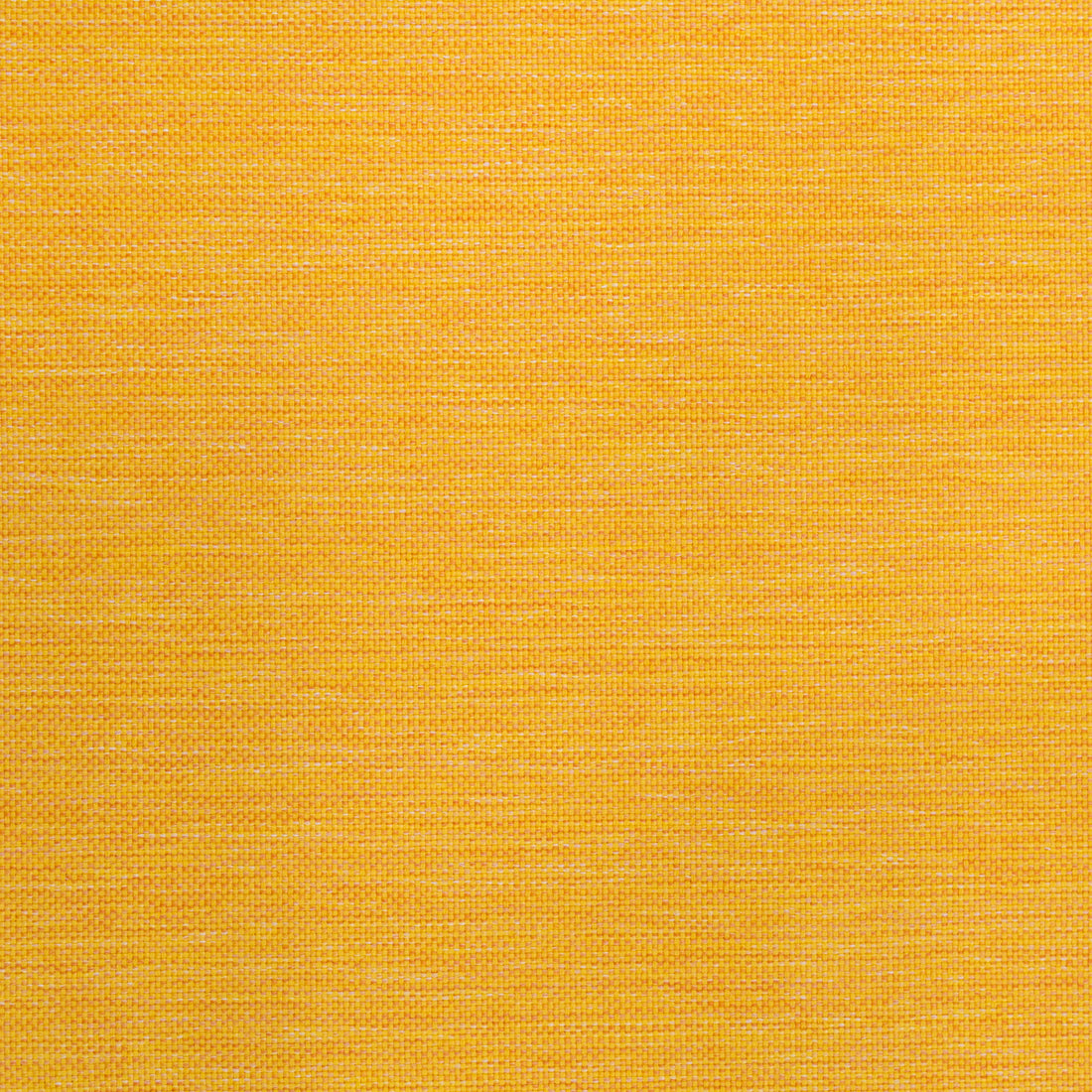 Warwick Lomani Sunshine outdoor curtain fabric swatch