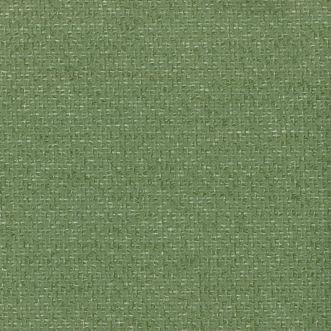 Warwick Macedon Grass outdoor curtain fabric swatch