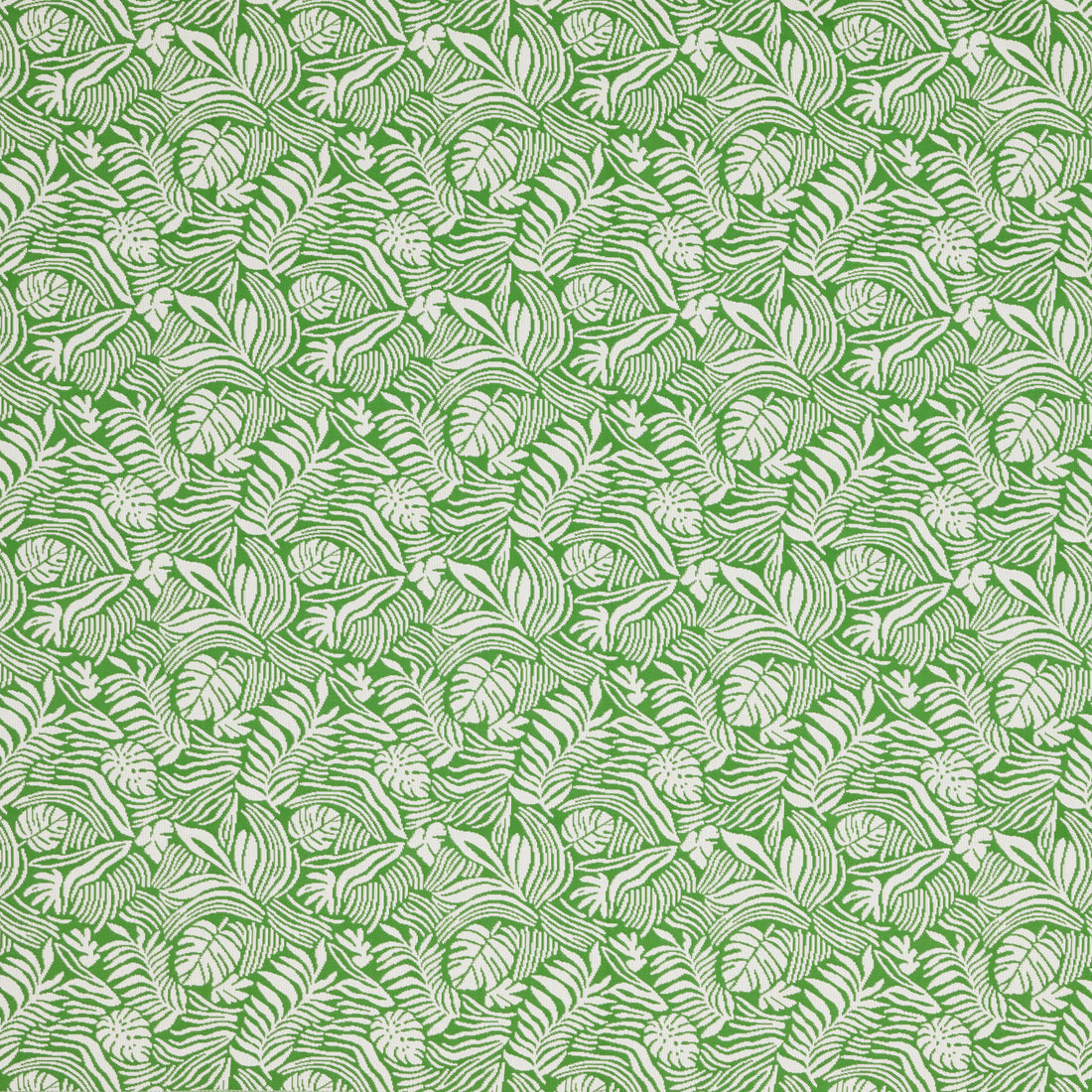 Warwick McCrae Monstera outdoor curtain fabric swatch