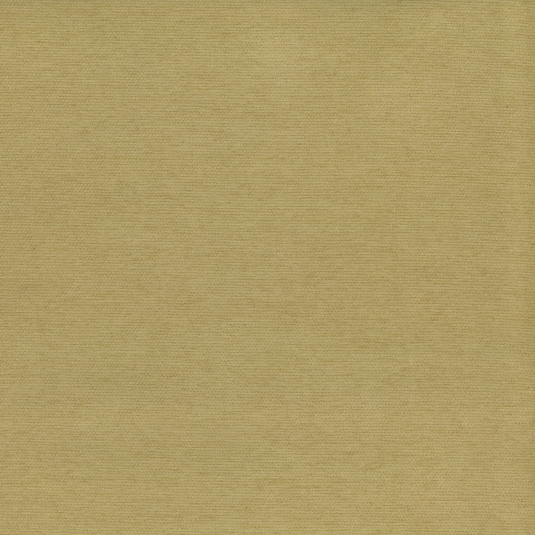 Warwick Manisa Acacia upholstery fabric cushion