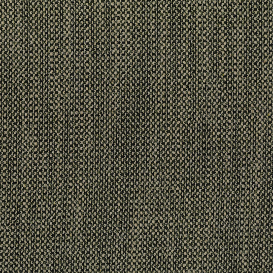 Warwick Narla Forest upholstery fabric cushion