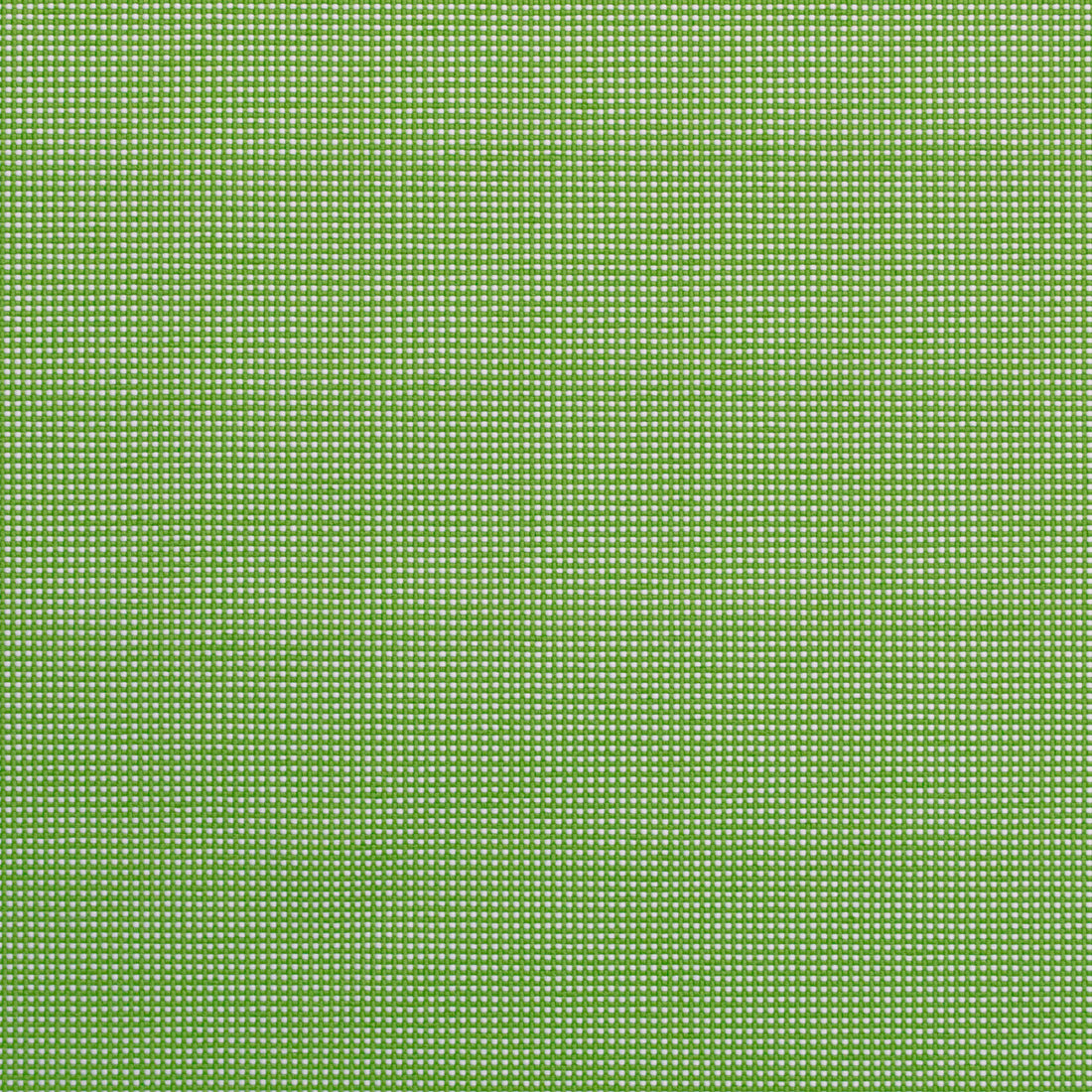 Warwick Noosa Lime outdoor curtain fabric swatch