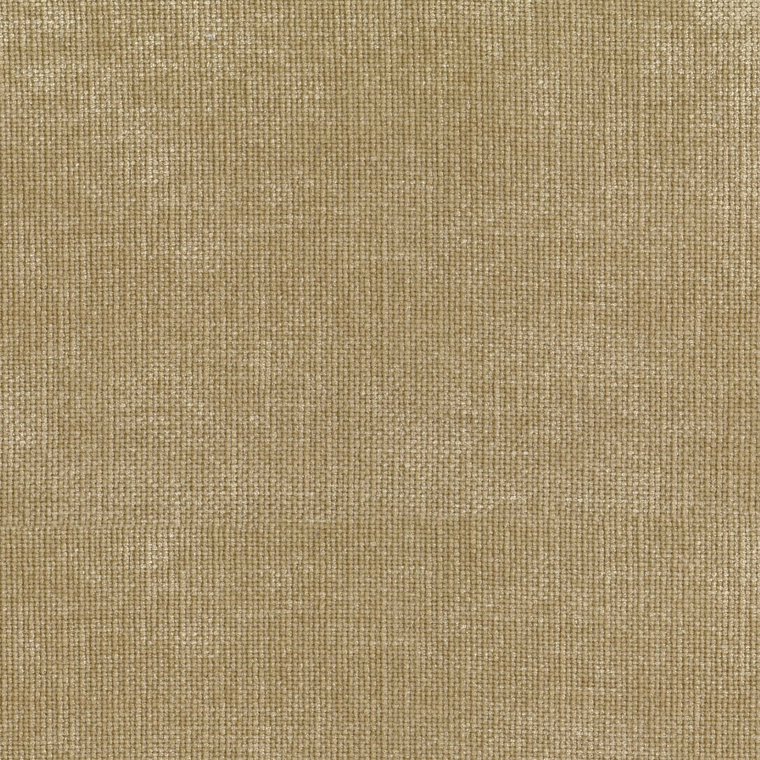 Warwick Pavlos Honey upholstery fabric cushion