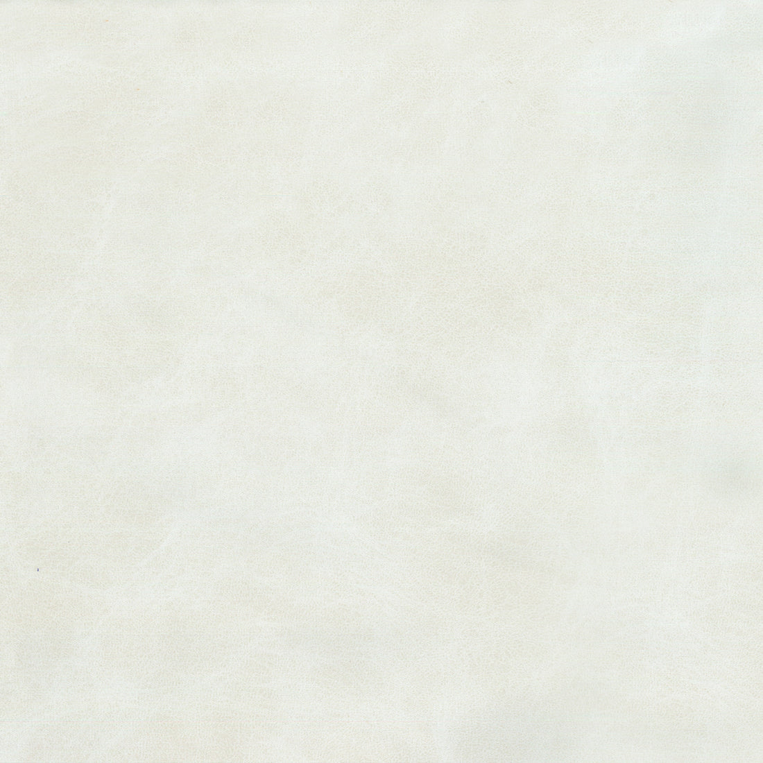 Warwick Pelle Ivory upholstery fabric cushion