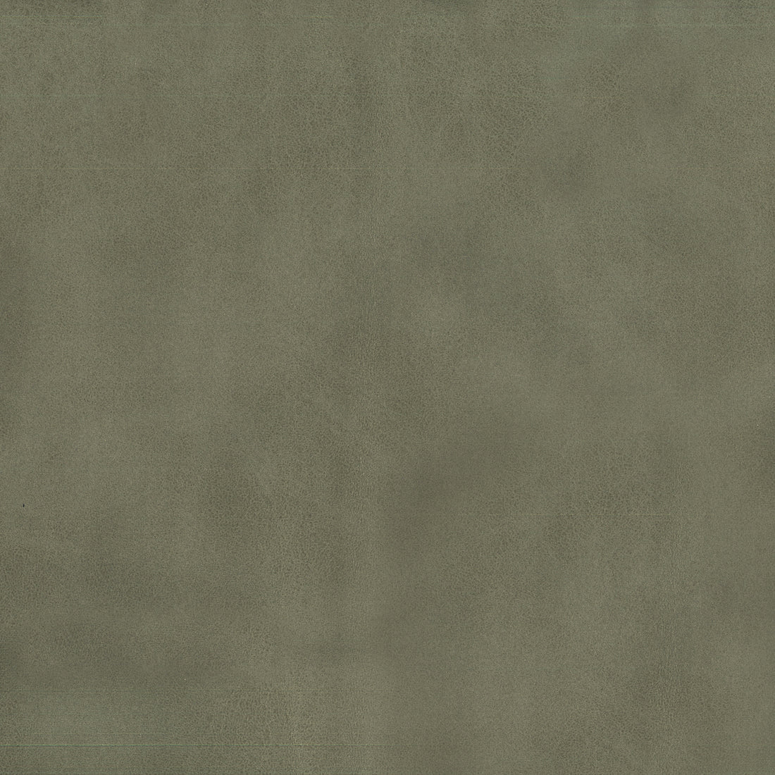 Warwick Pelle Sage upholstery fabric cushion