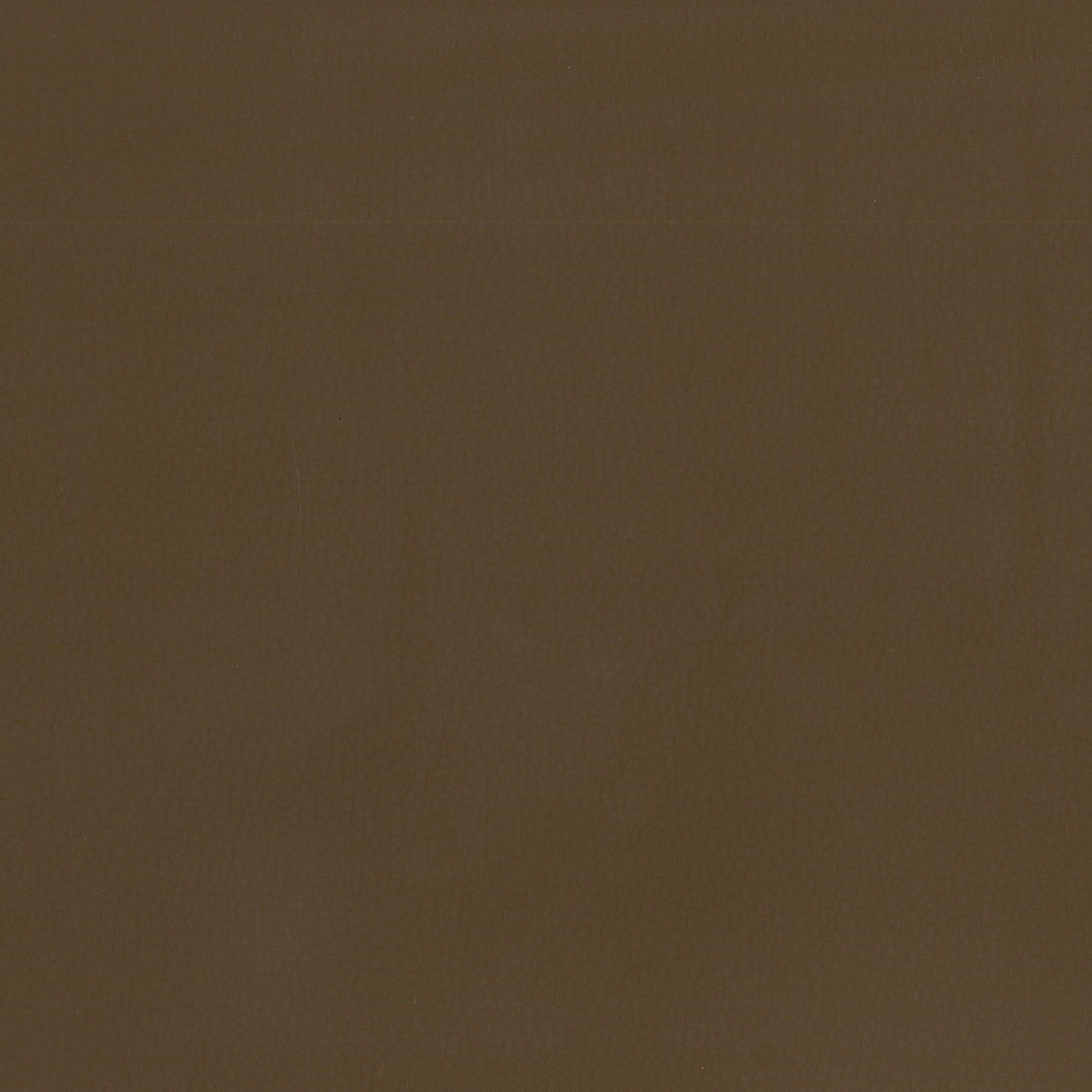 Warwick Lustrell Ranger Chocolate faux leather cushion
